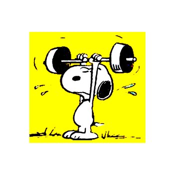 Fundraiser Profile Image