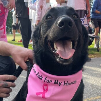Fundraiser Profile Image